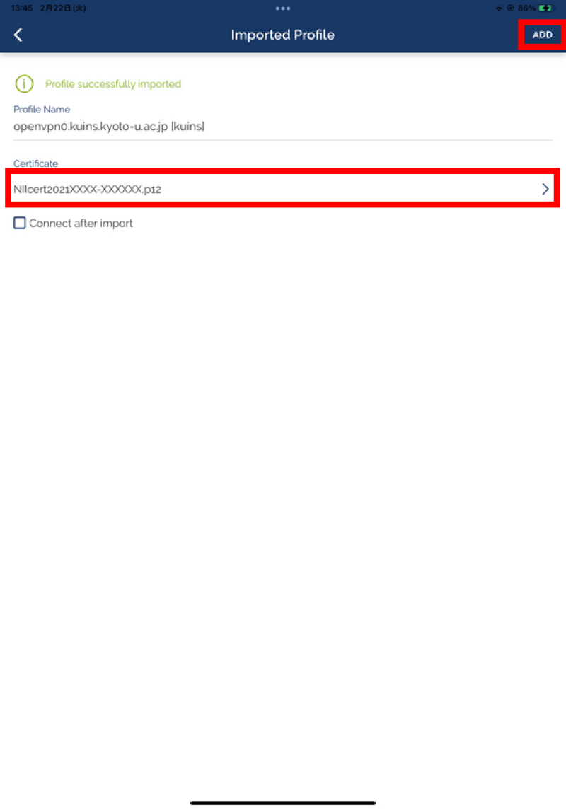 ipad10openvpn