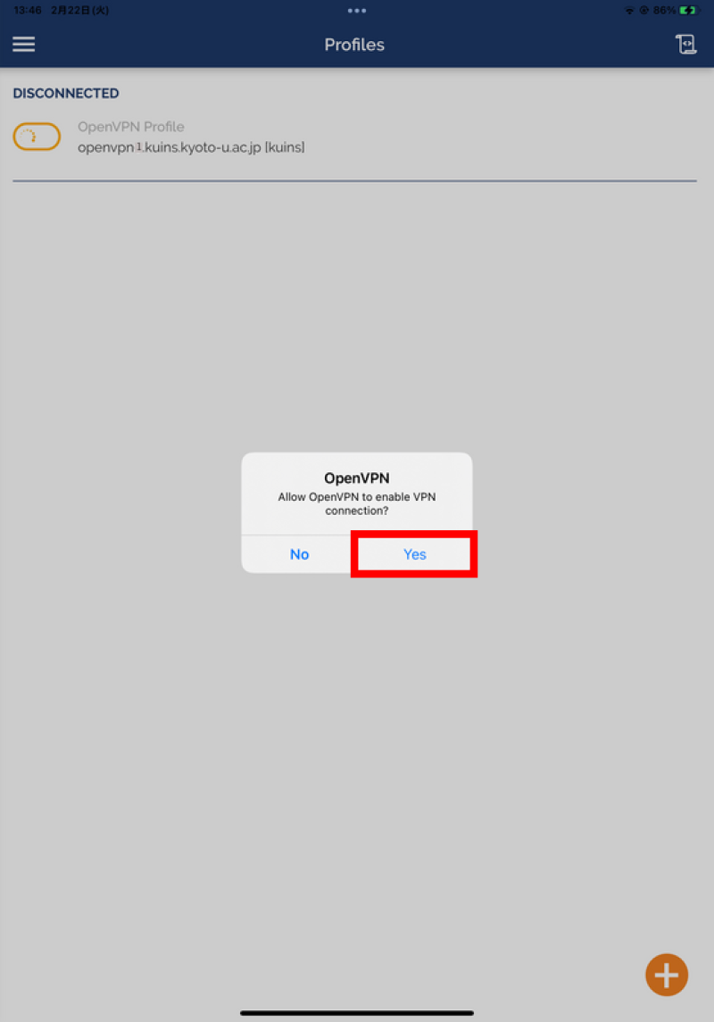 ipad12openvpn-2