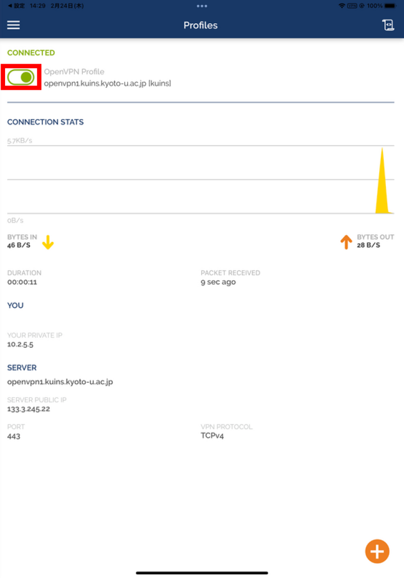 ipad14openvpn-2