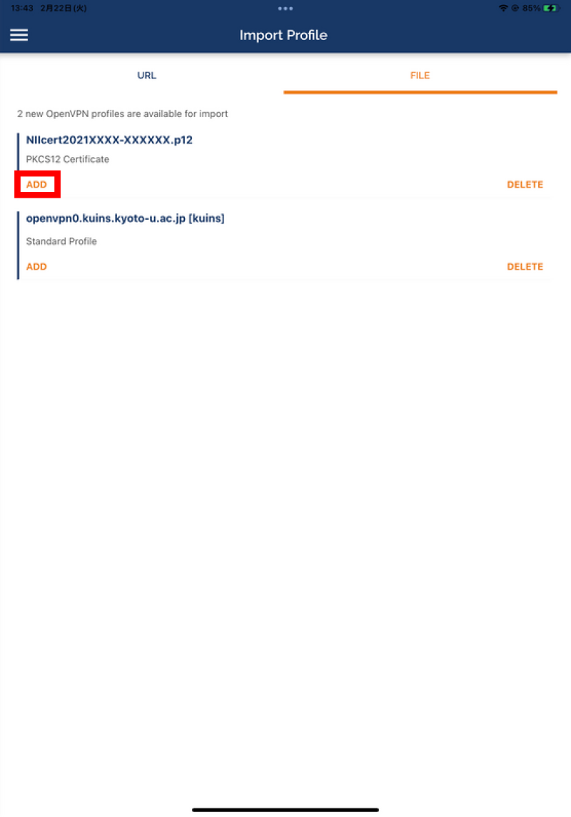 ipad7openvpn