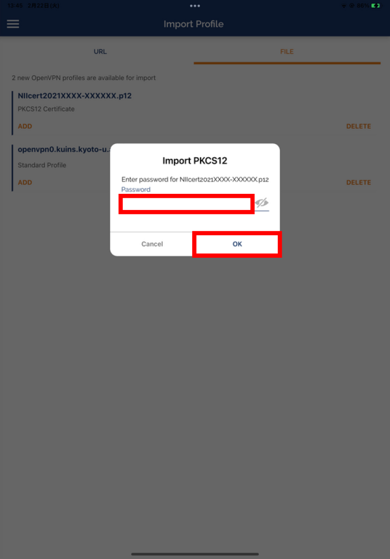 ipad8openvpn